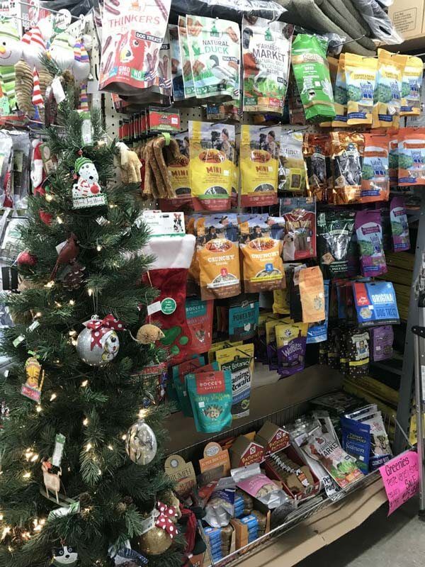 Small Christmas tree beside a pet store display of colorful pet treats and toys on shelves