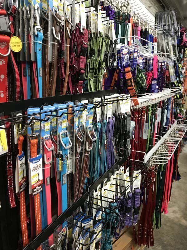 Store aisle packed with colorful pet leashes and collars hanging on display racks