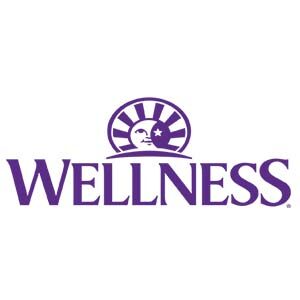 Purple Wellness logo with a sun and face icon above the word “WELLNESS”