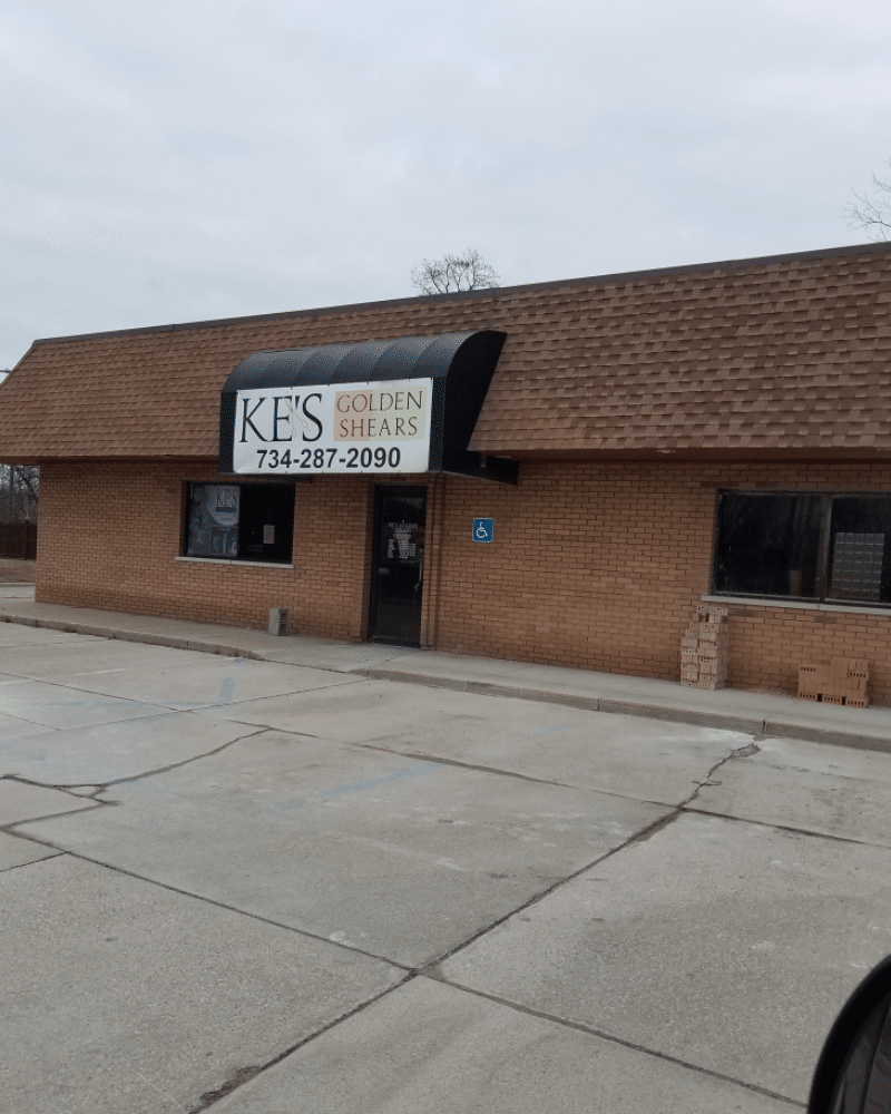 Golden Shears - Taylor, MI - Best Chimney Company