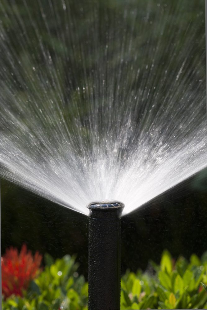 company landscaping services
