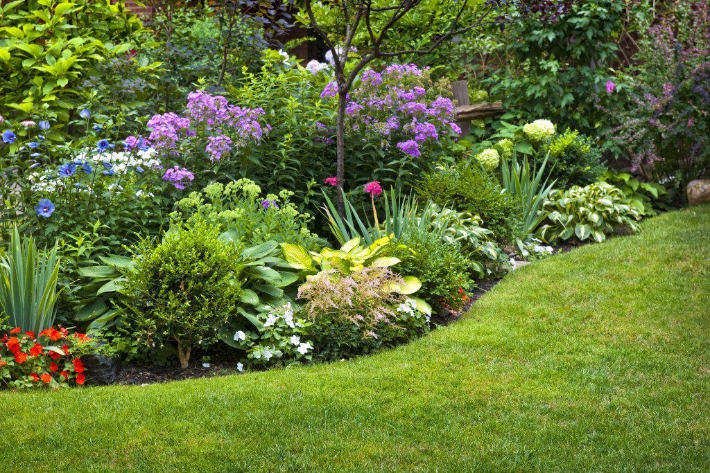 company landscaping services