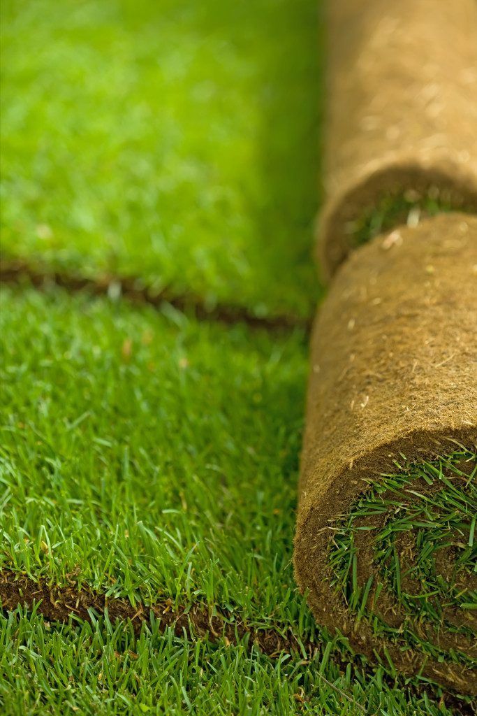 company landscaping services