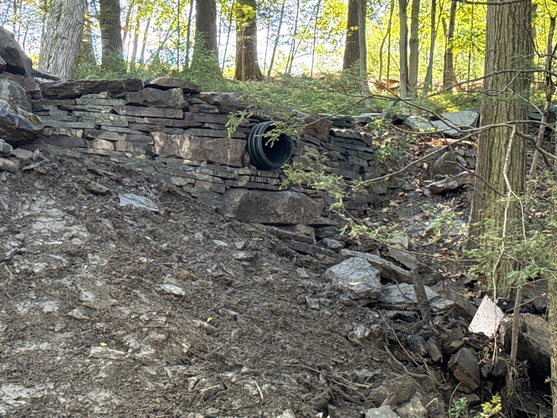 Steep muddy hillside with a drainage pipe in a wooded area