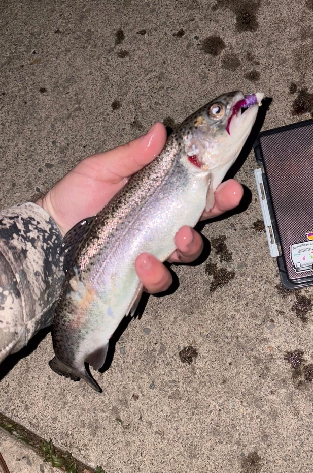 What a catch!
