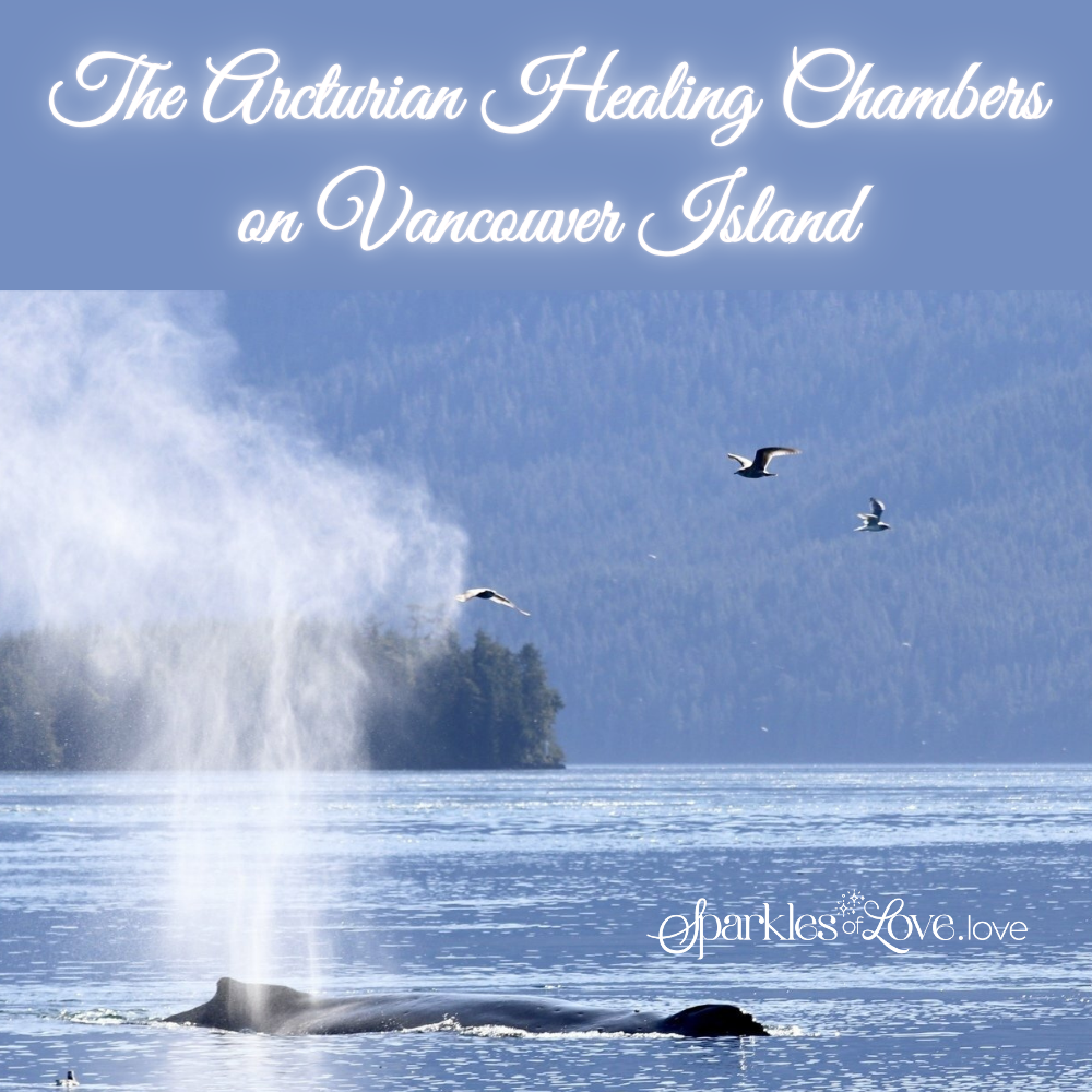 Whales surfacing in calm blue water near a misty coast, with the title “The Ordurian Healing Chambers on Vancouver Island”