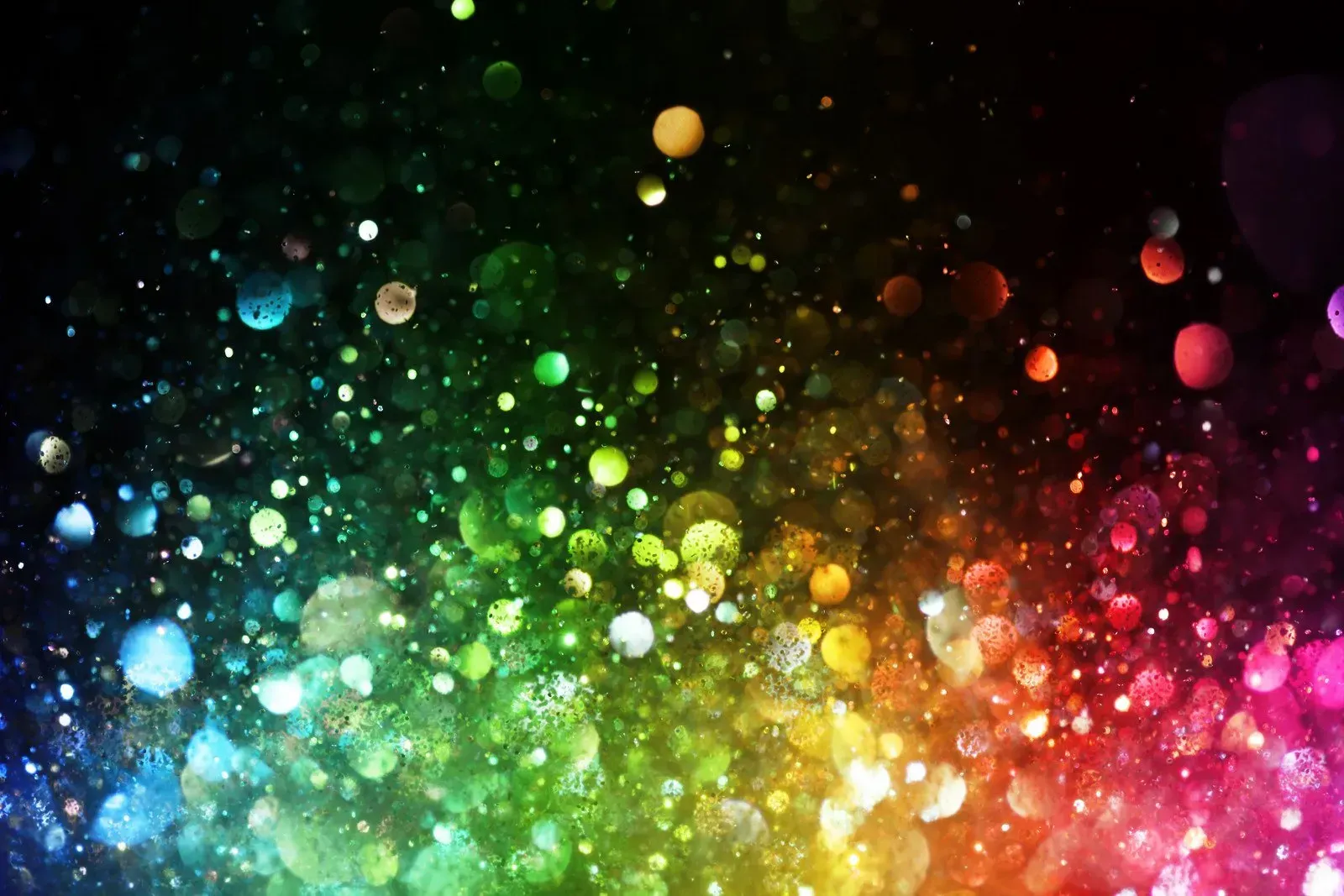 Abstract multicolored bokeh lights on a black background