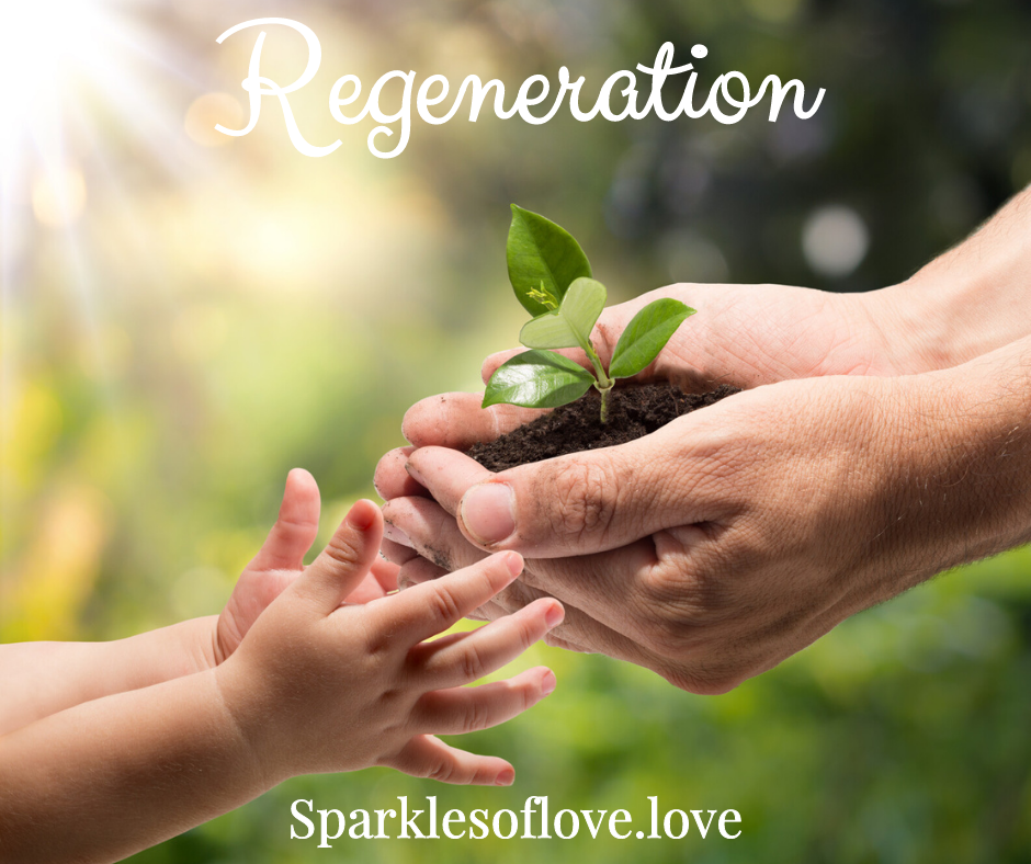 Hands passing a small green plant over soil, with the word “Regeneration” above.