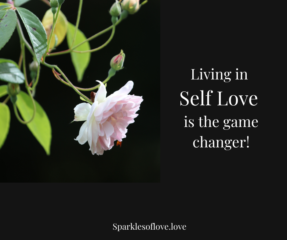 Pink flower on vine beside text: “Living in Self Love is the game changer!”