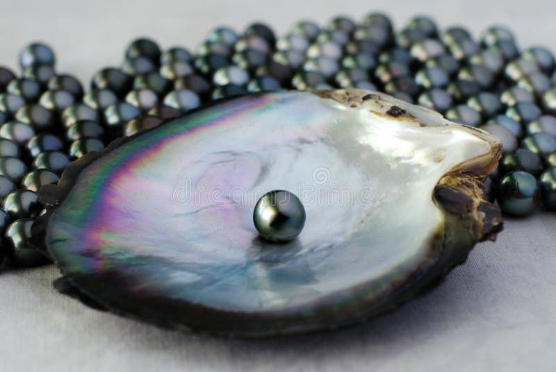 Pearl on an iridescent oyster shell with beaded black pearls in the background