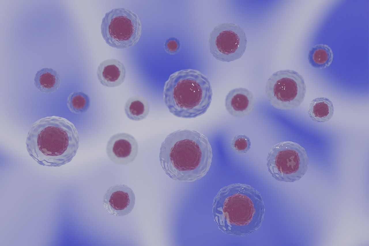 Cellular Foundation