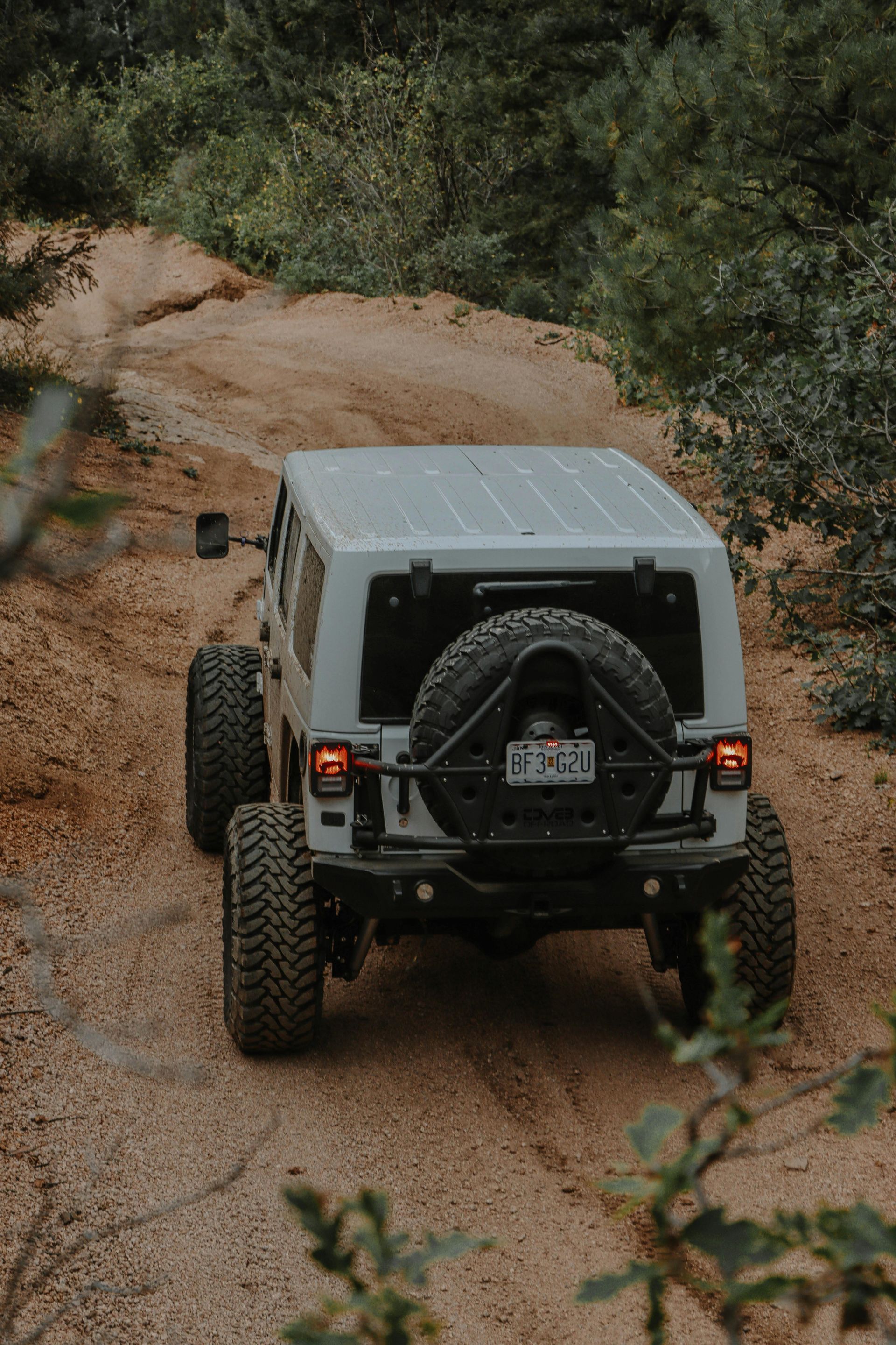 White Jeep driving on a dirt trail, rear view. Spare tire attached, surrounded by trees.