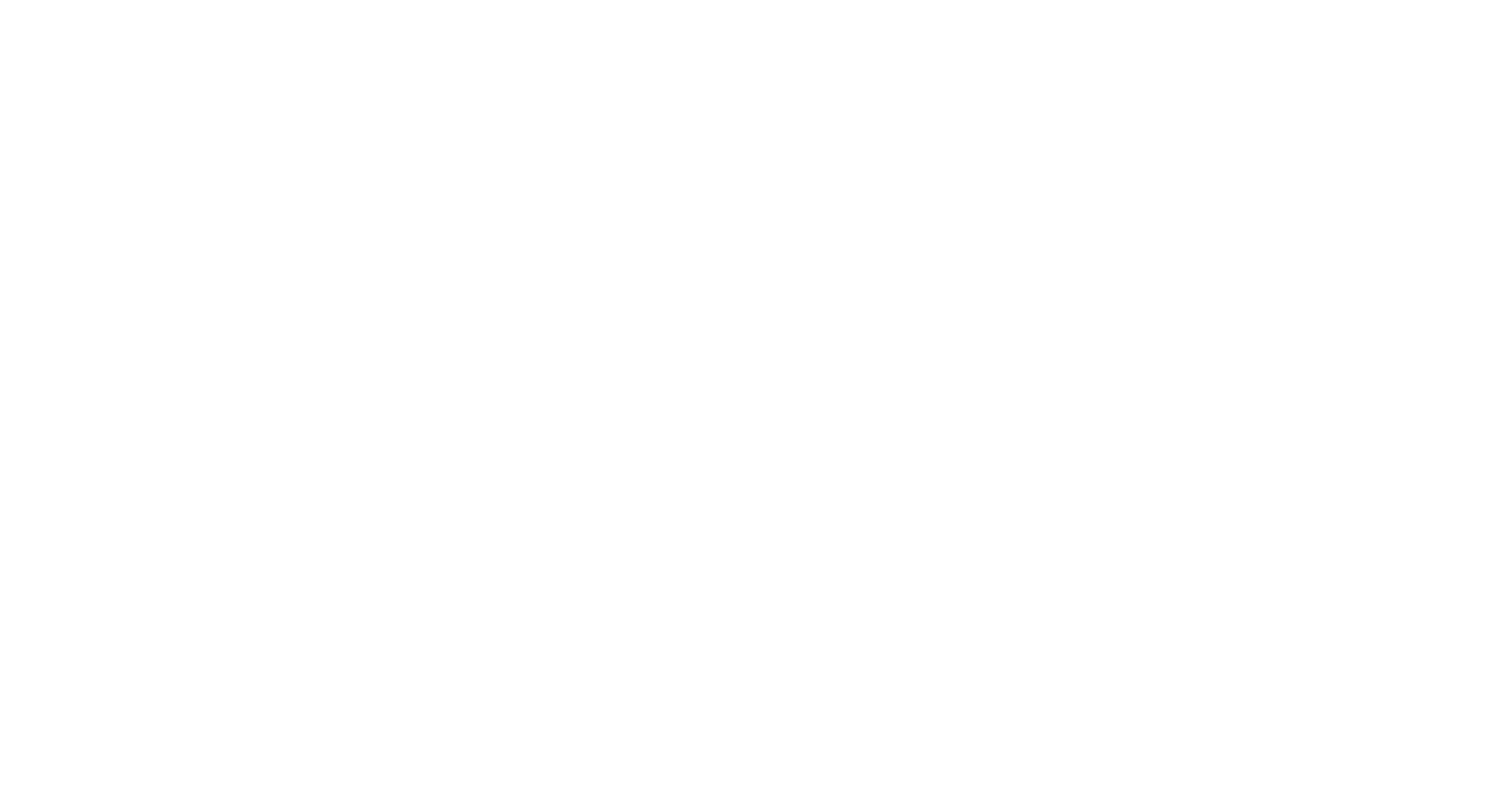 Logo Icon