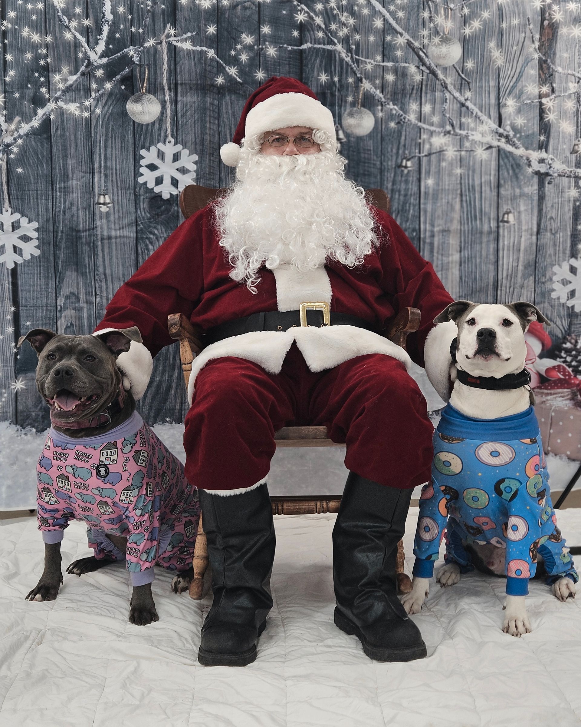 Santa Claus sits on a chair between two dogs wearing patterned pajamas in front of a snowy, winter-themed backdrop.