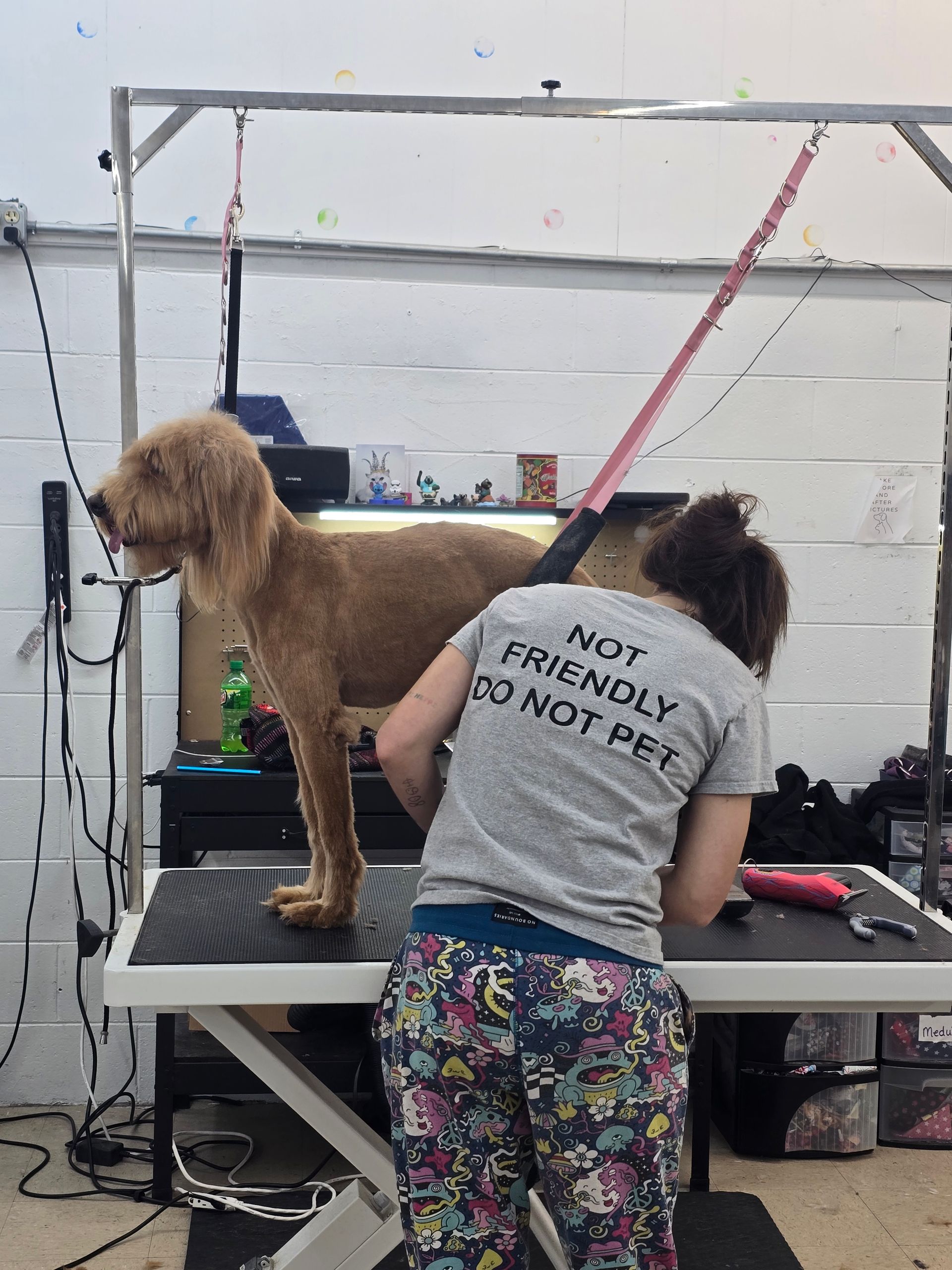 A groomer in a t-shirt saying 