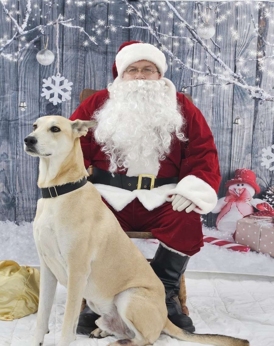 Santa Claus sits in a chair with a tan dog in a winter-themed studio setting with a snowman and snow background.
