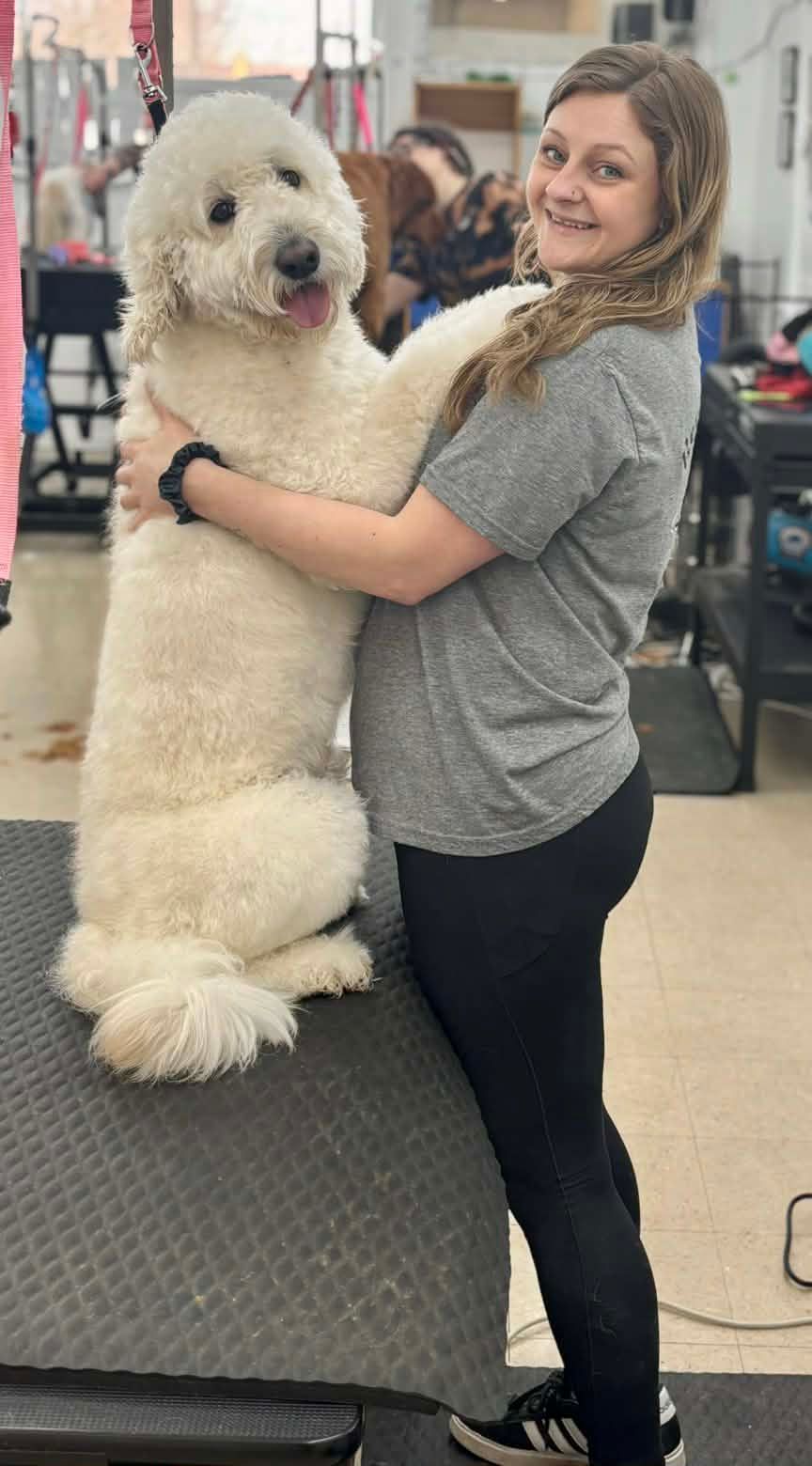 A woman in a grey shirt and black leggings hugs a large, fluffy, cream-colored doodle dog standing on a grooming table.