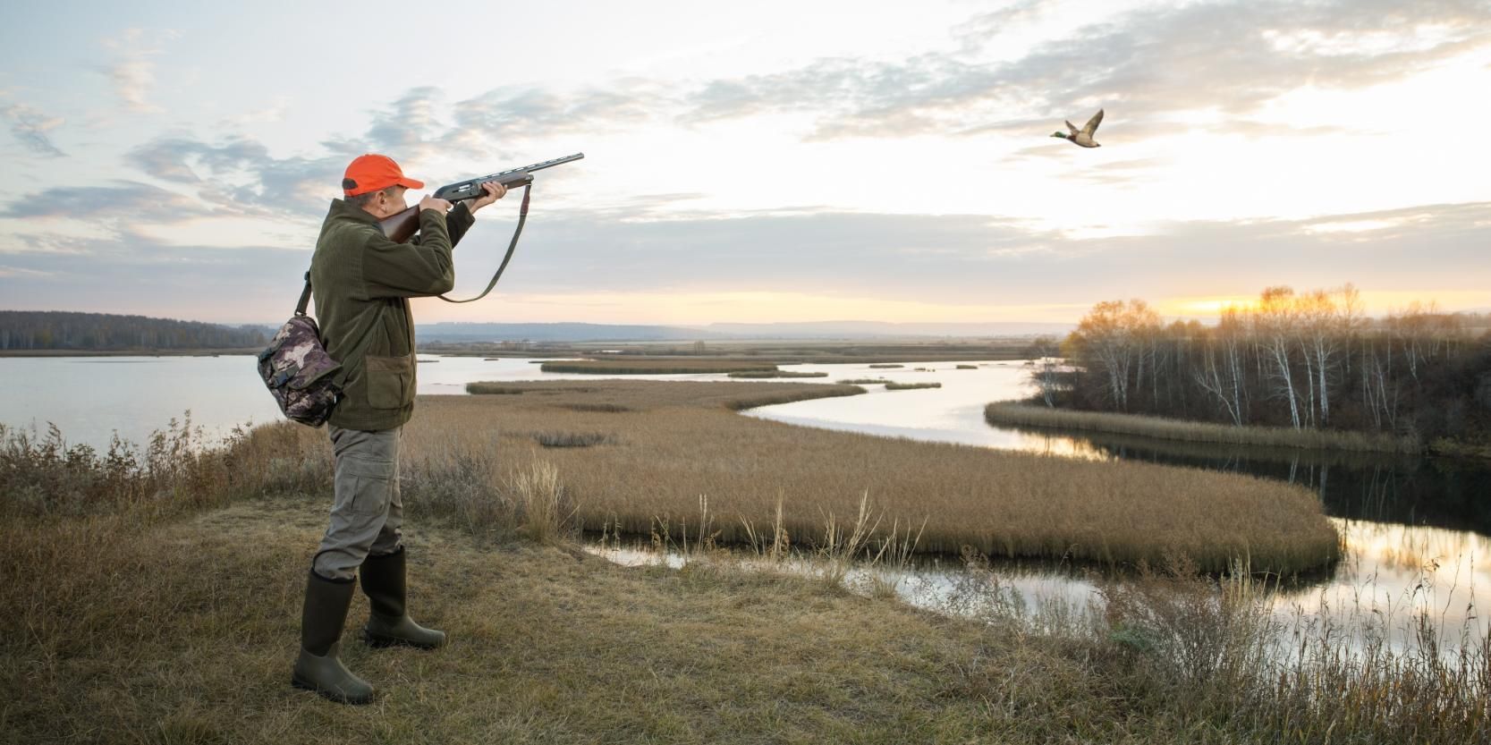 A Man Wearing an Orange Hat Holds a Gun While Observing a Bird — Coffs Coast Firearms In Glenn Ines, NSW