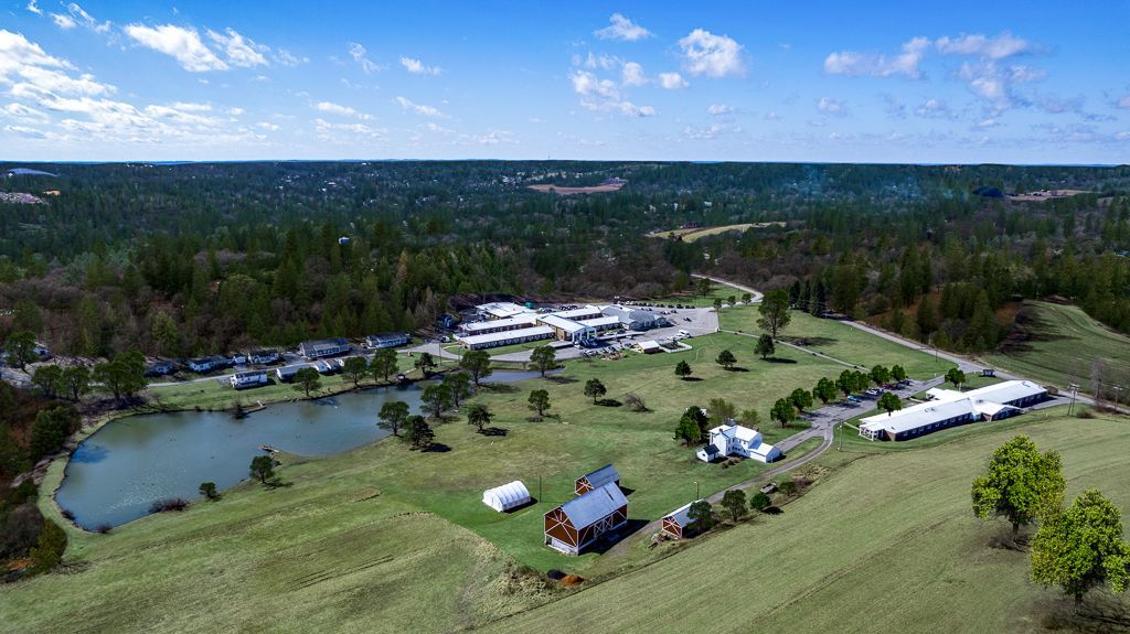 Aerial view of a farm with a pond, buildings, and green fields against a backdrop of a forest under a blue sky.