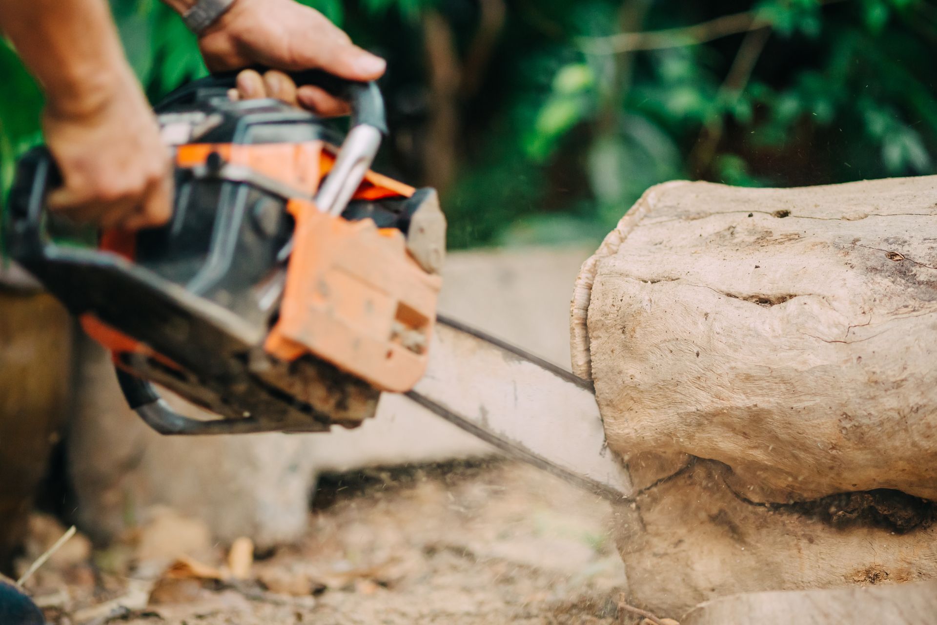 A person is using a chainsaw to cut a log.