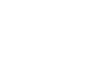 siff.nyc (Staten Island Film Fest) MMXXVI