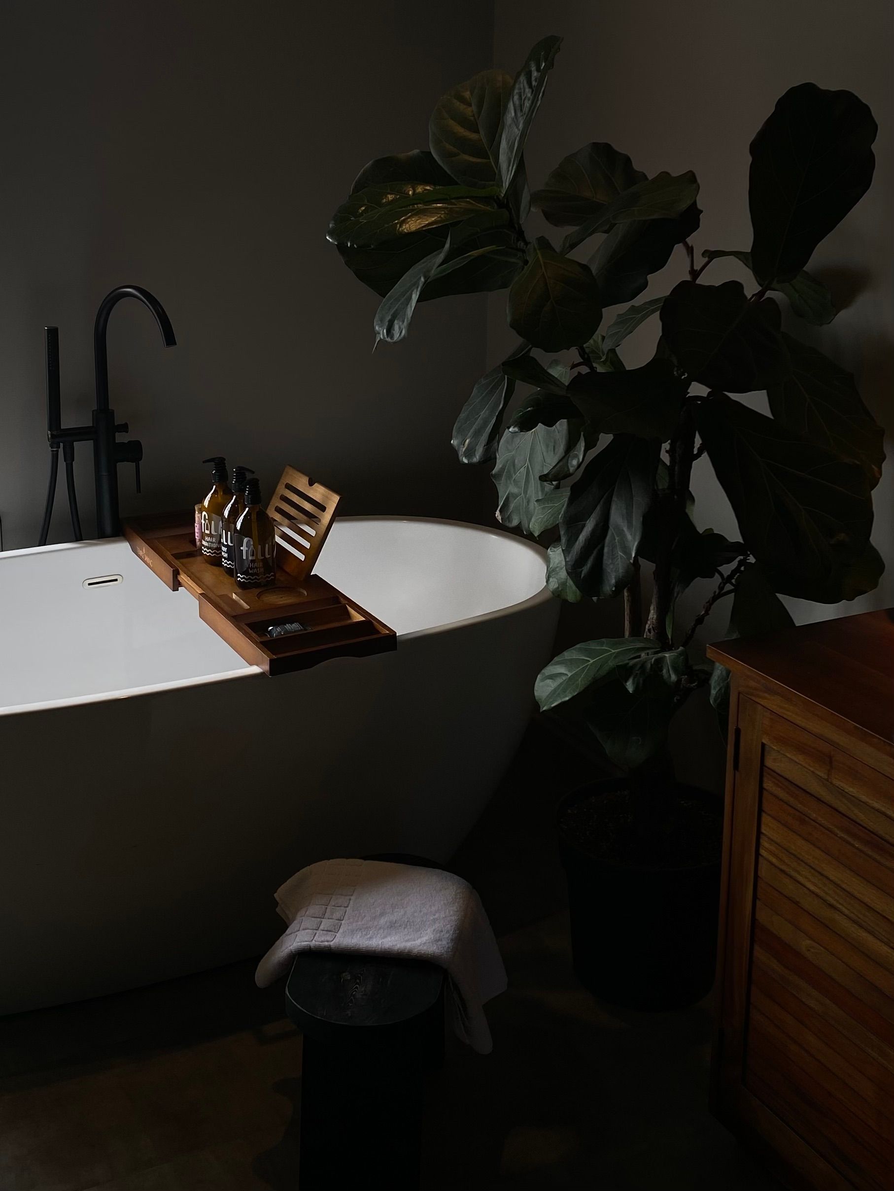 Moderne badkamer met een vrijstaand bad, een grote plant en een houten bijzettafel.