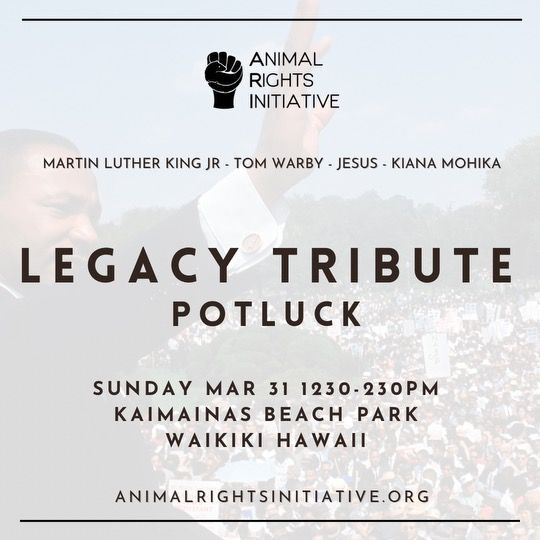 martin luther king, animal rights, season of nonviolence