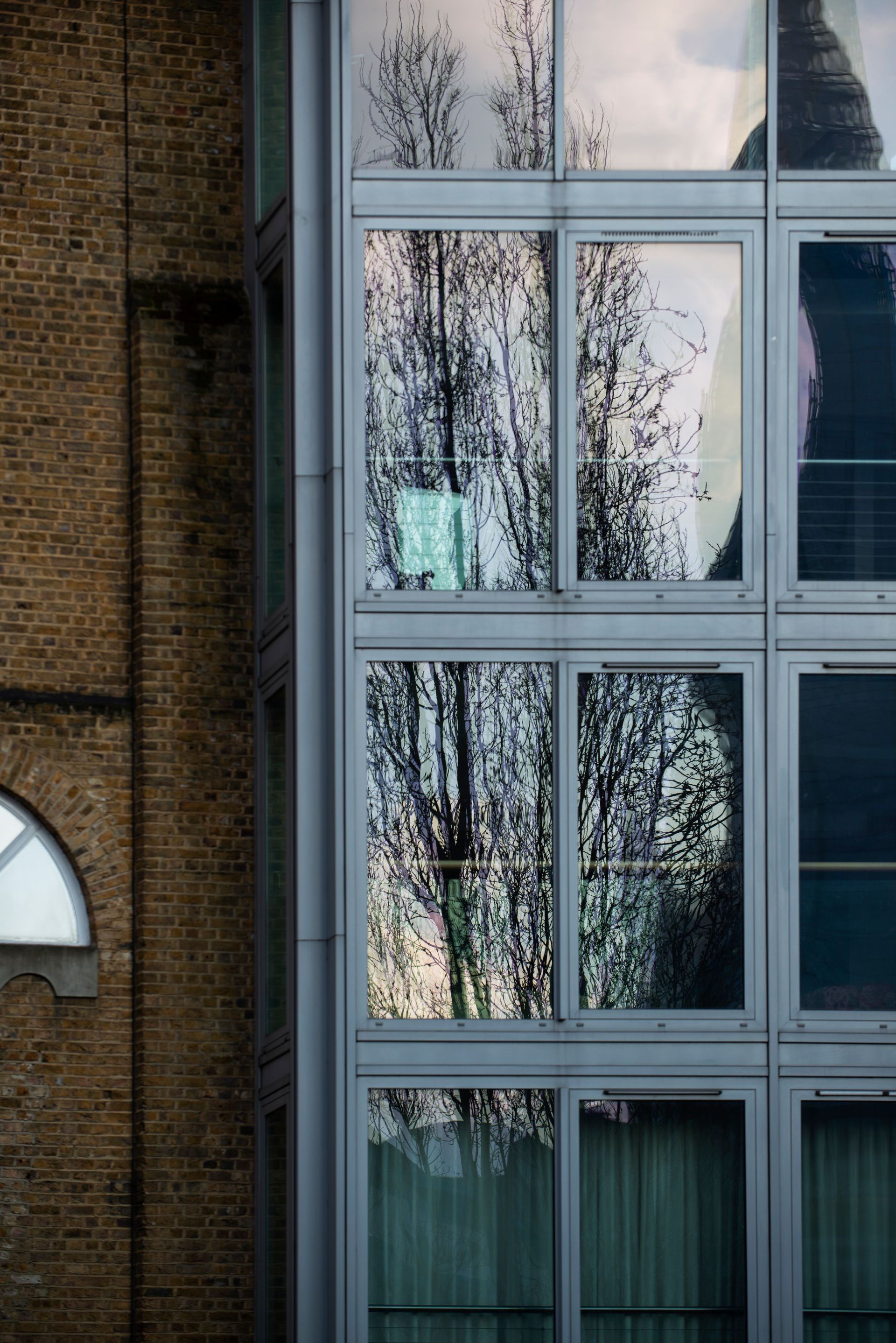 Tall windowed brick building reflecting bare trees and curtains inside