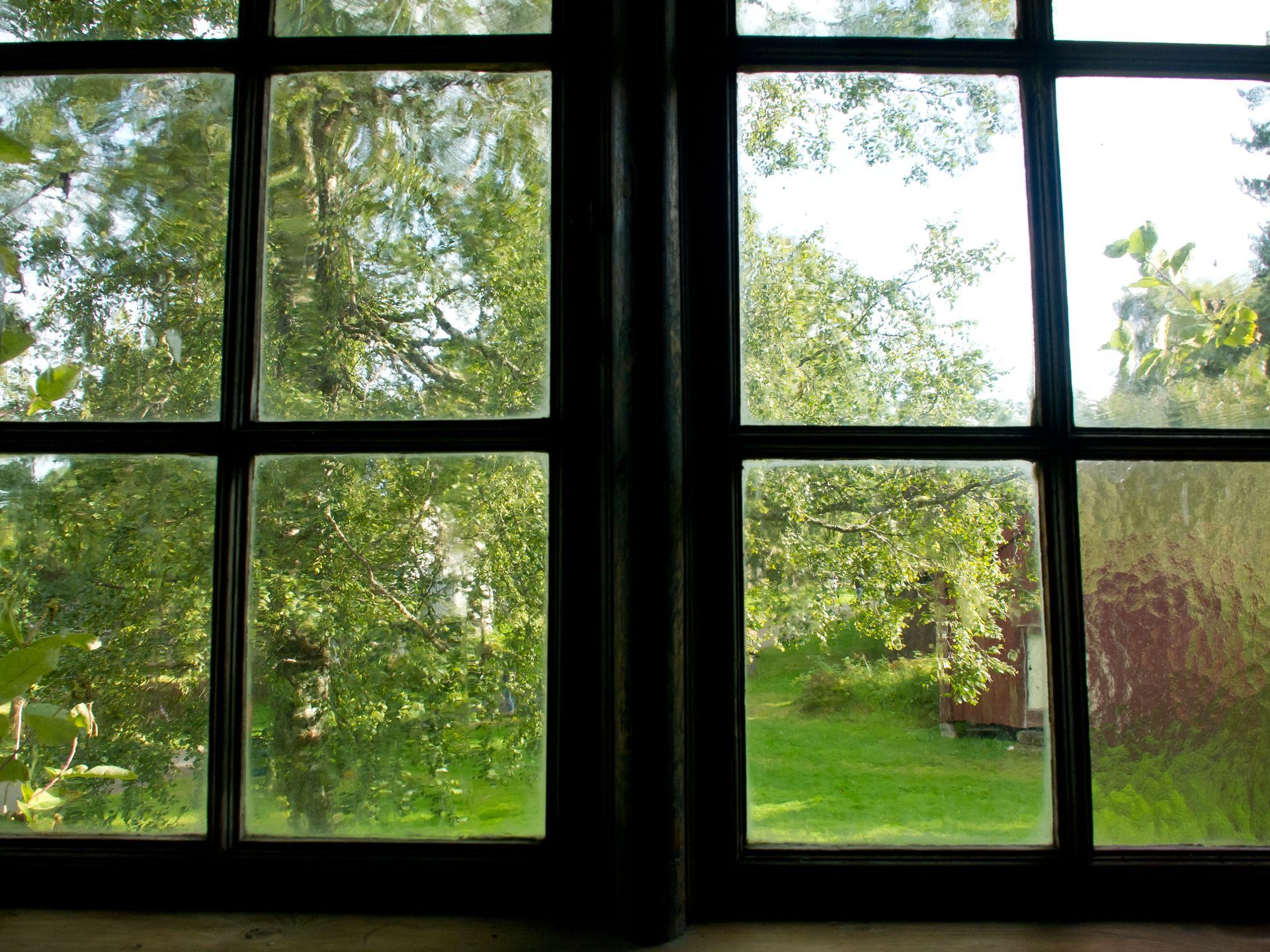 View through a window to a green garden with trees and a red shed