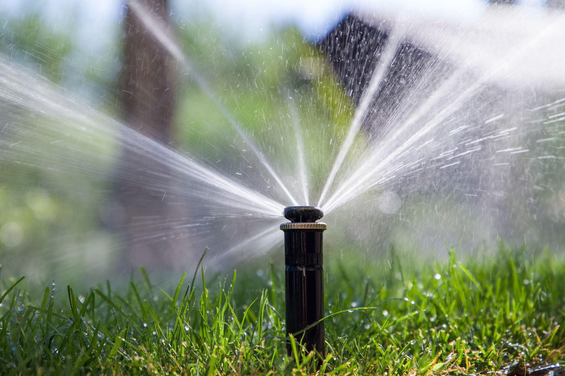 Sprinkler spraying water across a green lawn in bright daylight