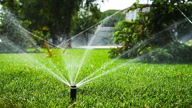 Sprinkler watering a bright green lawn in a sunny yard