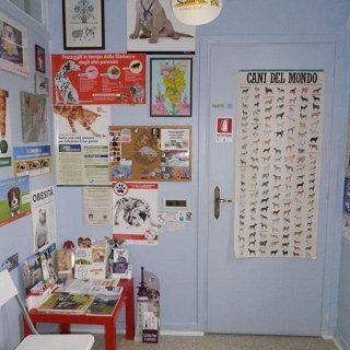 ambulatorio2