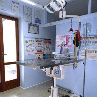 ambulatorio3