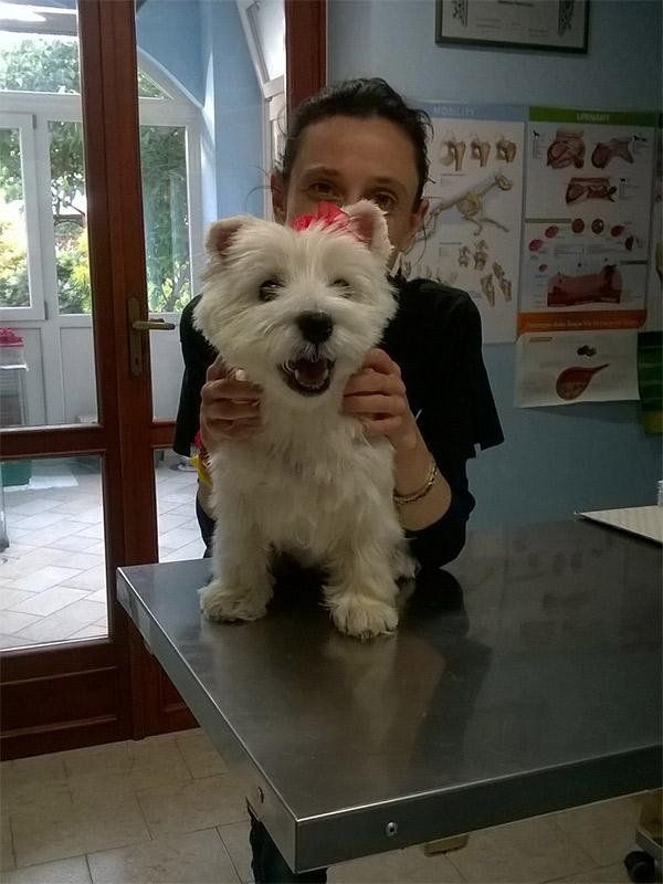 clienti4