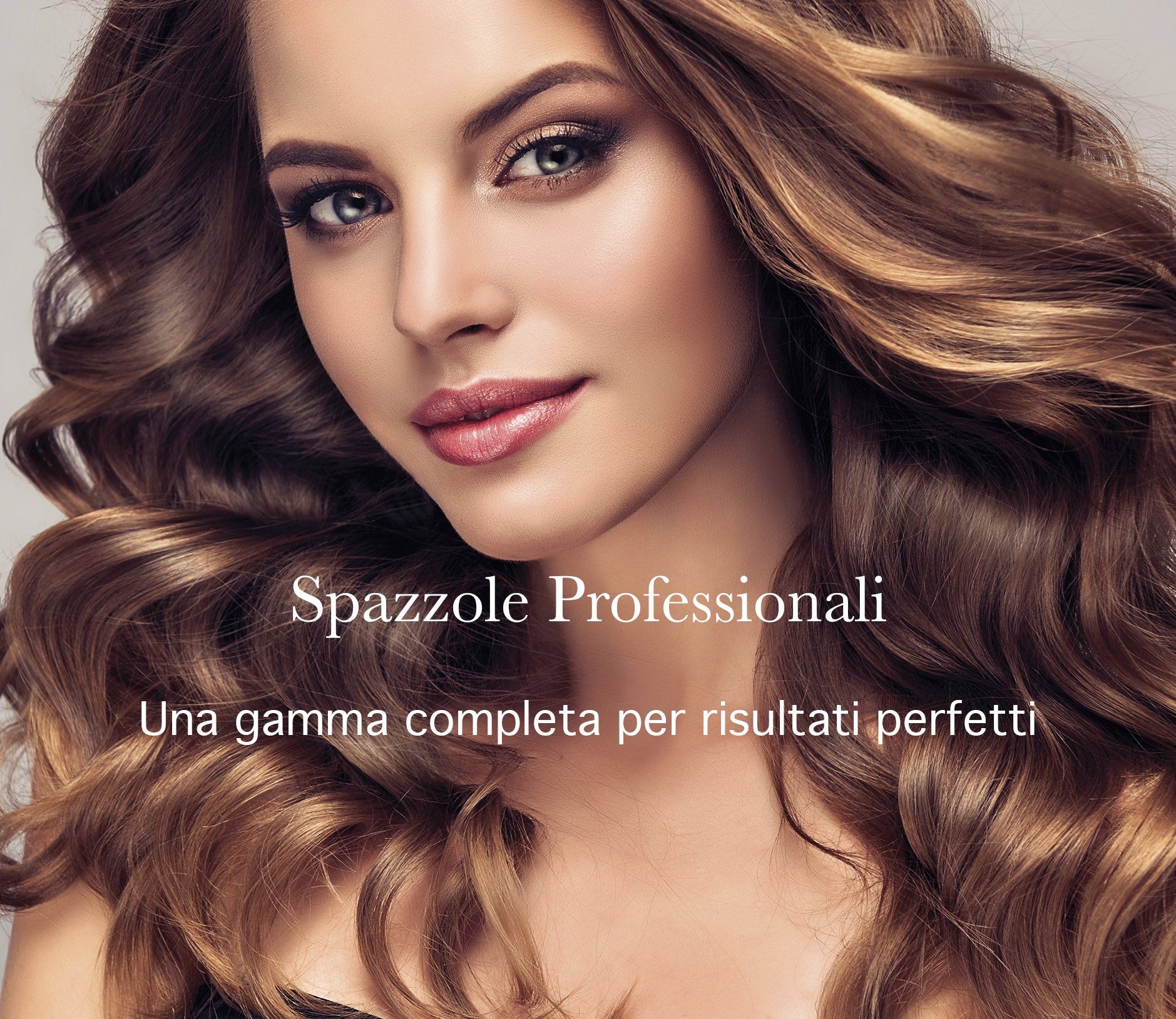 Spazzole