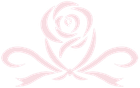 Pink rose made of ribbon-like swirls on a white background