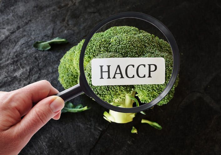 Una persona tiene una lente di ingrandimento sopra un pezzo di broccolo.