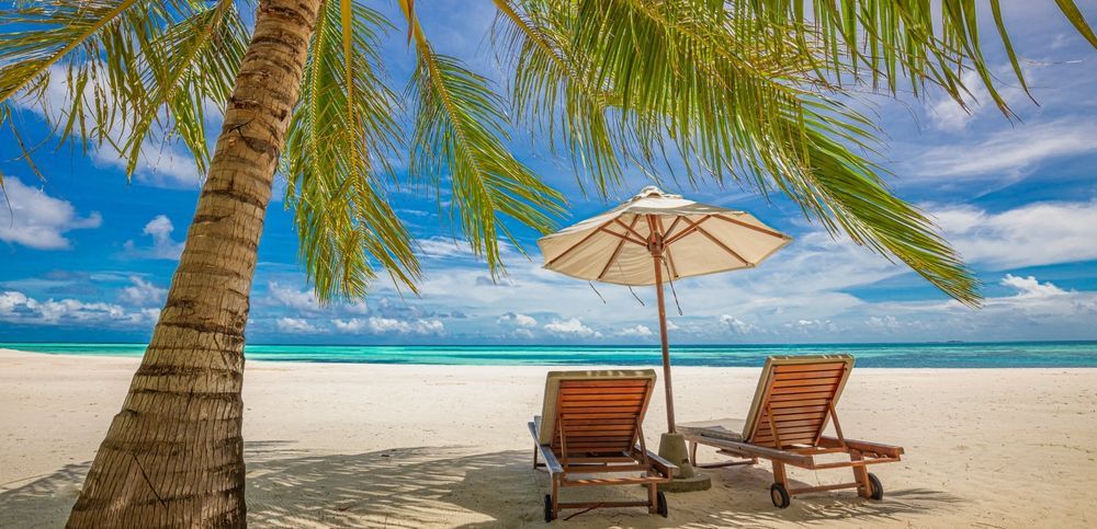 Beach scene: Palm tree, lounge chairs under umbrella, blue sky and ocean.