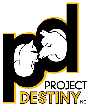 project destiny of pittsburgh logo
