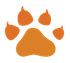 An orange paw print on a white background