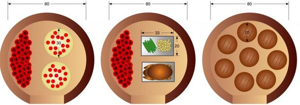 Tre piastre di Petri che mostrano diverse configurazioni di colonie batteriche, colorate in rosso e marrone.