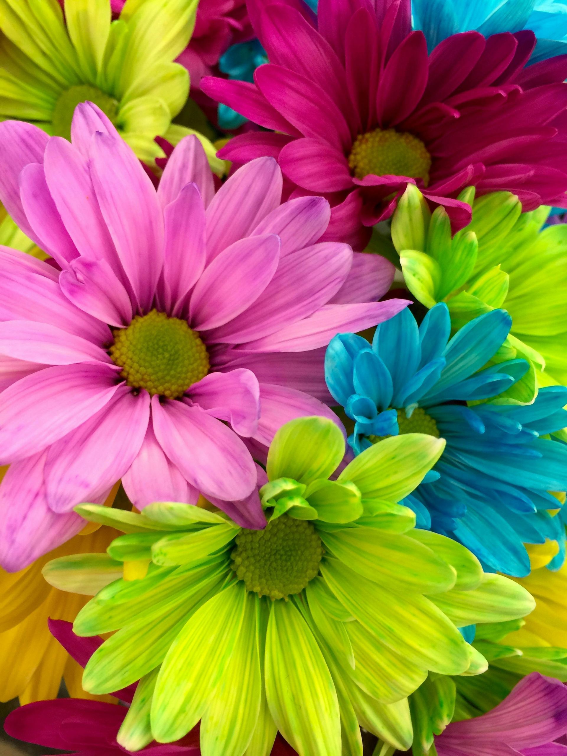 feria de flores