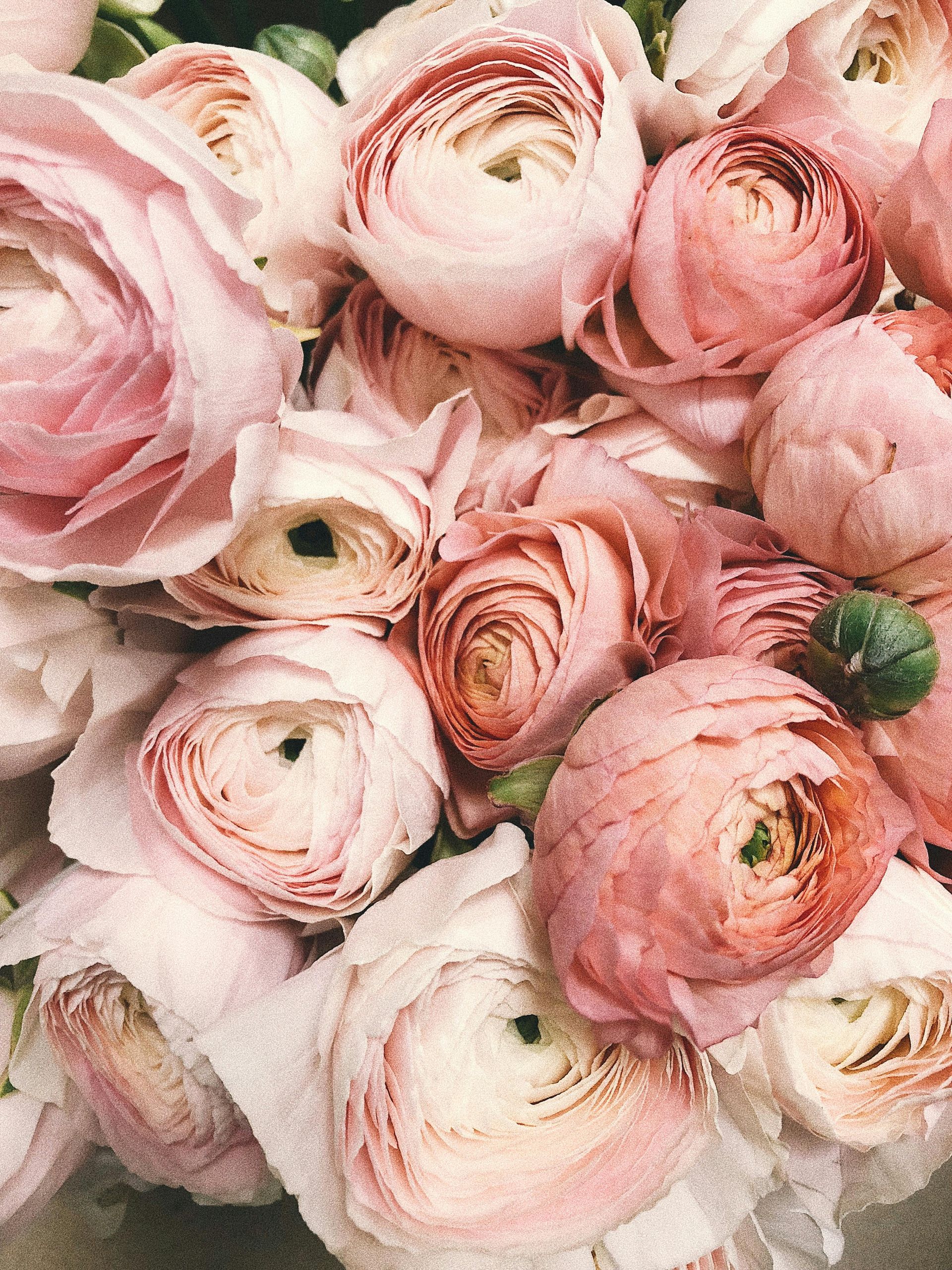 feria de flores