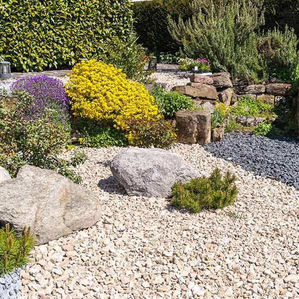 ZEROSCAPING & XERISCAPING