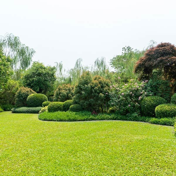 Lush green garden with manicured shrubs, trees, and a bright lawn under an overcast sky