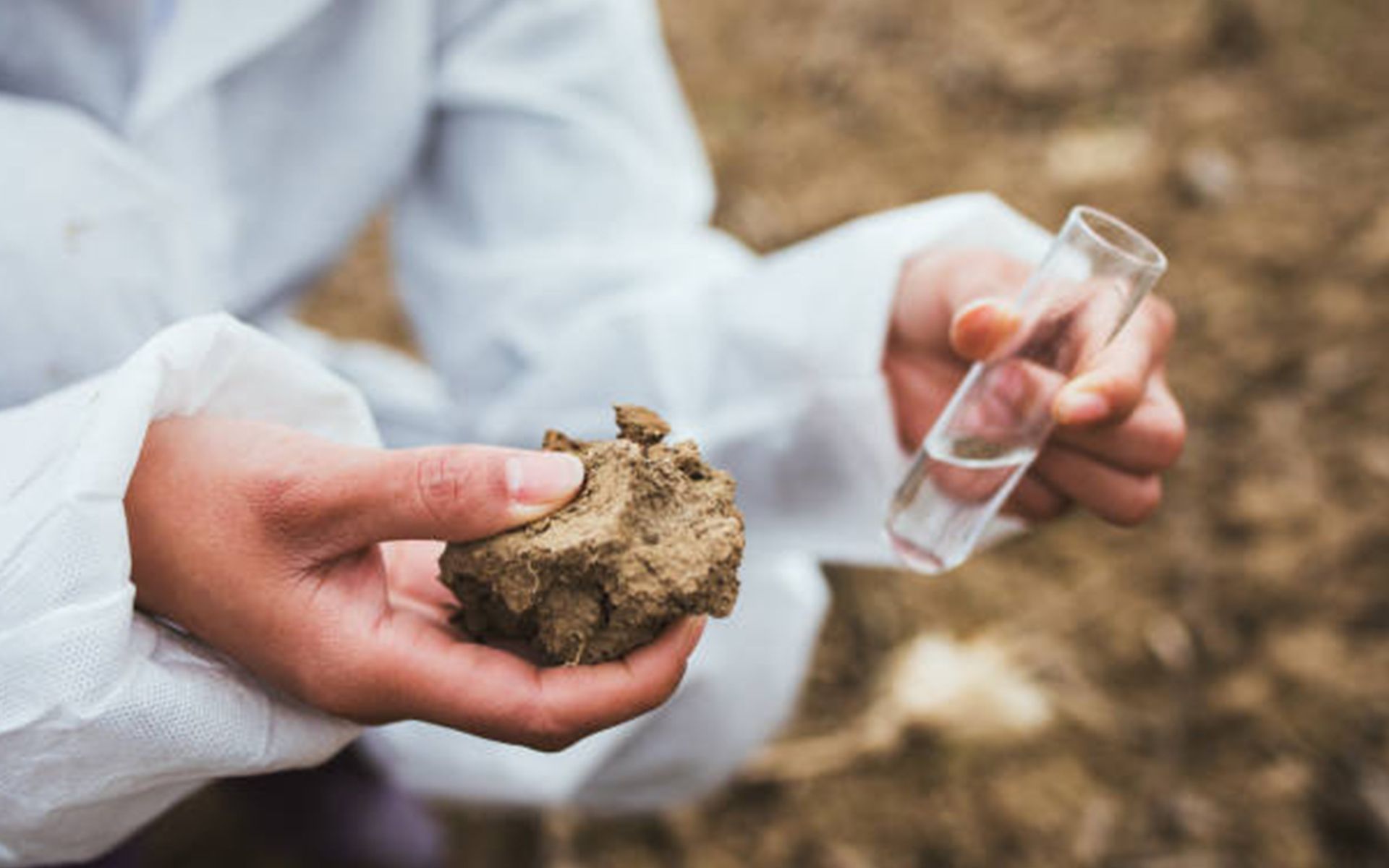Soil Analysis — Oakland, CA — Mathey Tree Care And Consulting
