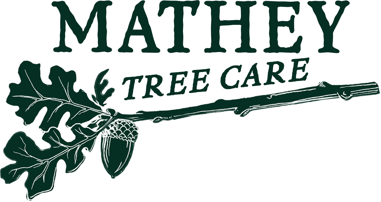 Mathey Tree Care and Consulting