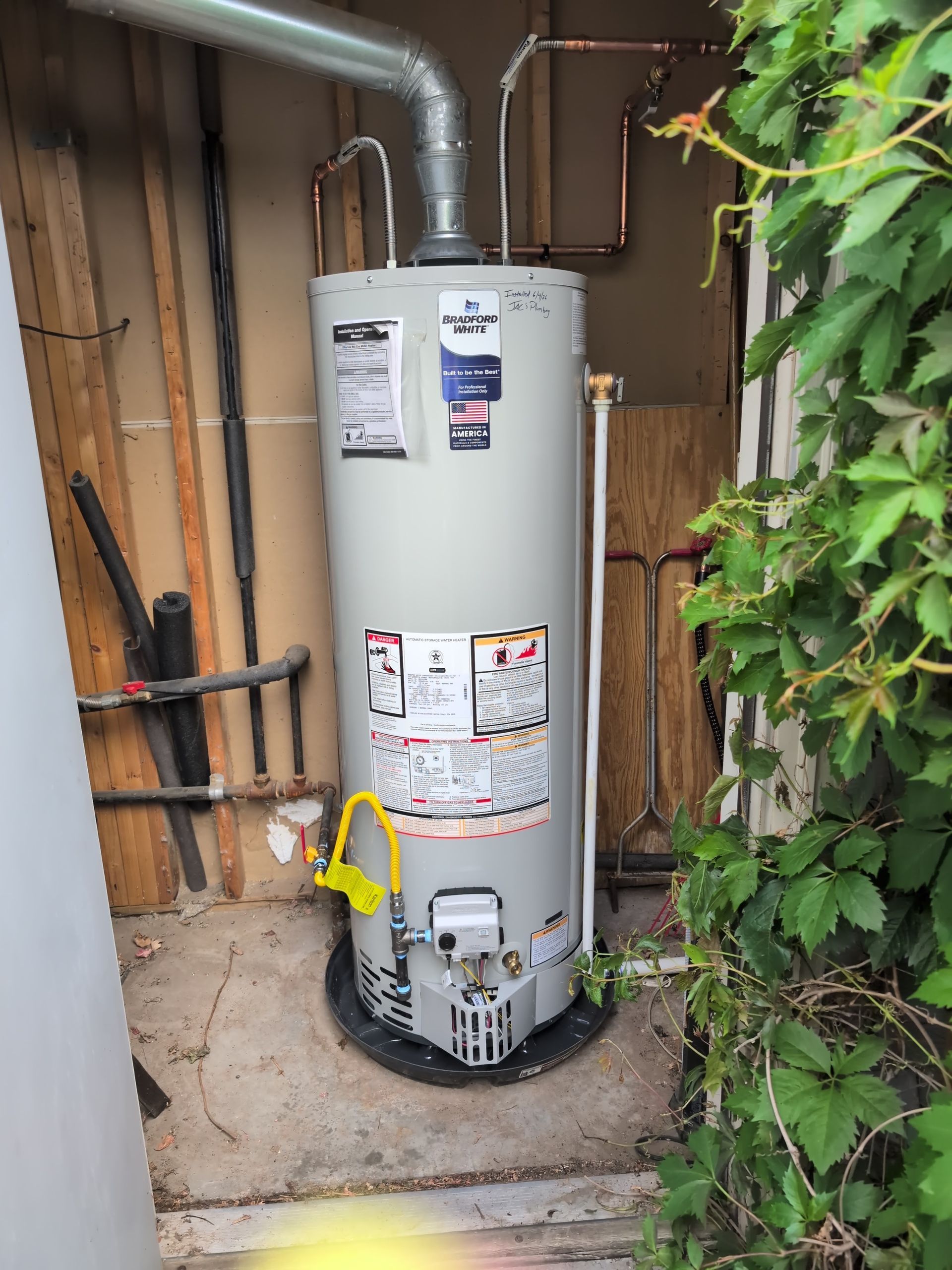 White water heater in a utility closet with exposed pipes and a leafy plant on the right