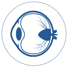 Bayside Eye Surgeon, Brisbane Australia AMD