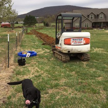 Backyard construction scene with a mini excavator, blue equipment, and a black dog in the foreground
